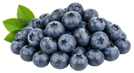 Isolated Pile of Blueberries