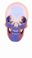 Colorful 3D Skull Model