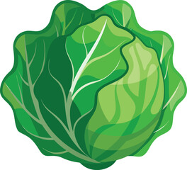 Cabbage leaf