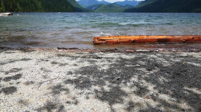 Mountain lake shore with log, pebbles, water, and distant green forest hills