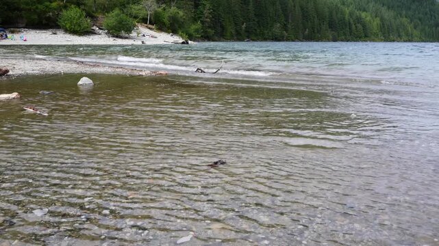 Clear Lake Water and Rocky Shoreline with Forested Hills in the Background