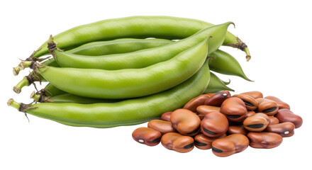 Isolated Broad Beans on White Background