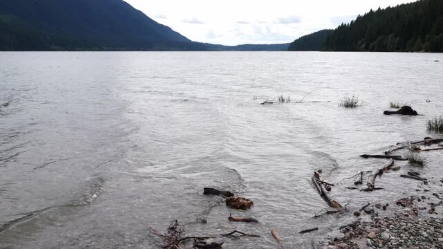 Tranquil Lake Shoreline with Driftwood and Forested Mountains on Cloudy Day