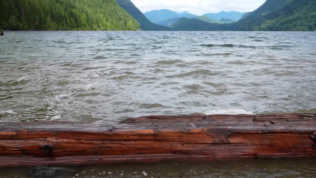 Weathered log on lakeshore with forested mountains and rippling water scenery