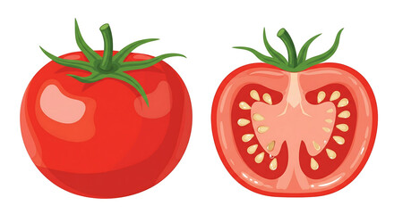 Fresh ripe red tomato whole and sliced showing juicy interior and seeds detailed realistic rendering