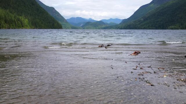 Tranquil mountain lake shoreline with clear water, forested hills, and cloudy sk