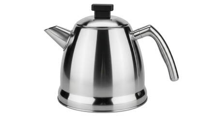 Isolated Stainless Steel Kettle