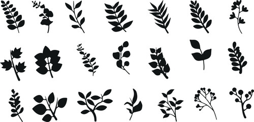 Leaf and Branch Silhouette Vector Pack – Botanical, Nature, Plant, Foliage Illustration