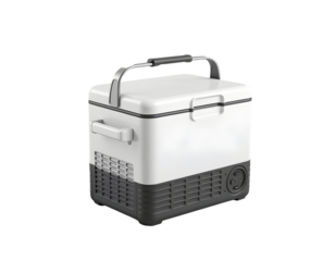 Portable Electric Cooler with Handle