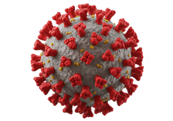 Closeup view of the sarscov2 virus, responsible for the covid19 pandemic, presented on a transparent background