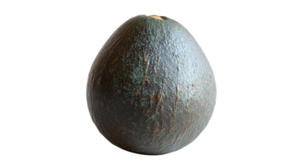 Avocado isolated on white background
