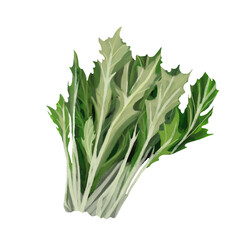 葉物野菜（水菜）