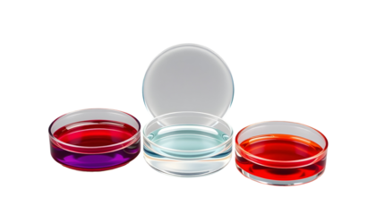 Petri dishes with colored liquid