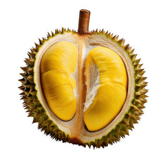 Obraz premium Durian fruit half opened, isolated white and transparent background.