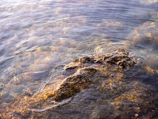 Limestone rock under clear Adriatic Sea water at Biograd na Moru, Croatia, with golden sunrise light creating reflections and gentle ripples.