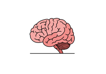 Isolated Simple Cartoon Illustration of the Human Brain