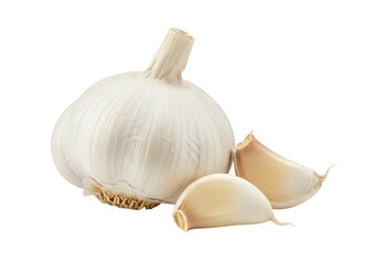 Garlic bulb and cloves isolated on transparent background