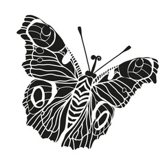 Monarch butterflies Vector hand drawn insect illustration isolated on white background
