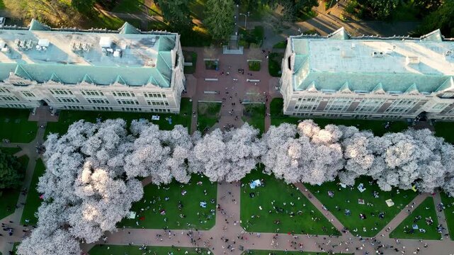 Drone Aerial View of Historic University of Washington Building and Green Campus Lawn