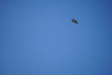 Close-up of a dragonfly in the clear blue sky 