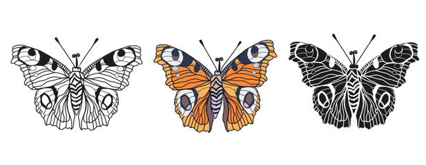 Obraz premium Monarch butterflies set Vector hand drawn bug insect illustration isolated on white background