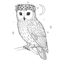 Cute Owl with Flower Crown Line Art Illustration.