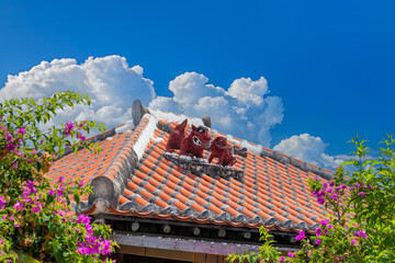 夏雲とシーサー