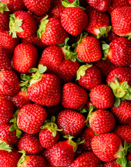 Close up of many fresh ripe red strawberries from above.