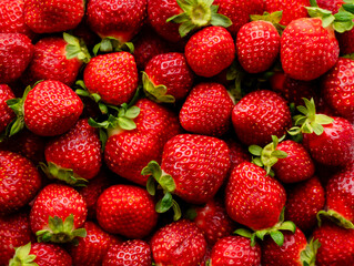 Close up of many fresh ripe red strawberries from above.