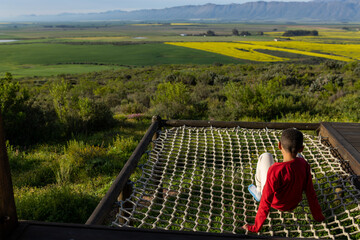 Cabin retreat in the mountains with a cargo net