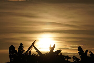 The sunset, characterized by the sun's position low on the horizon and the warm, golden hues in the sky