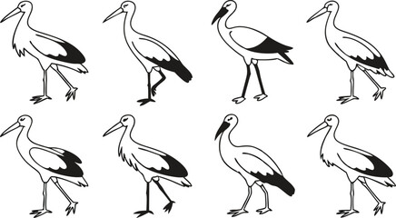 Fototapeta premium Elegant storks depicted in graceful walking poses, showcasing natural avian beauty and movement for design