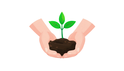 Two human hands holding soil with fertile earth for agriculture farming and environmental growth concept isolated on white background