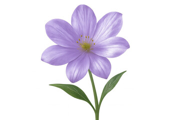 Obraz premium Purple flower with green leaves isolated on transparent background, perfect for spring designs