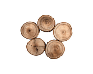 Five wooden tree trunk pieces arranged in a circle, displaying natural wood grain