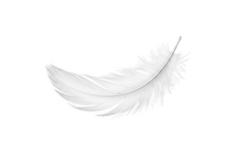 Fototapeta premium A single white feather isolated on transparent background