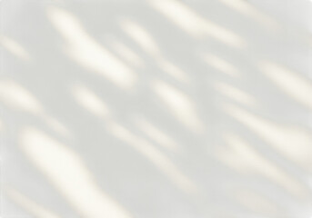 Obraz premium Soft natural light and shadow pattern overlay on a clean, bright transparent background, creating a minimalist and serene backdrop for design