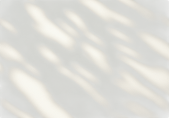 Soft natural light and shadow pattern overlay on a clean, bright transparent background, creating a minimalist and serene backdrop for design