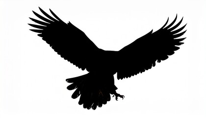 Silhouette of a large bird of prey in flight with wings spread wide and talons visible against white background.