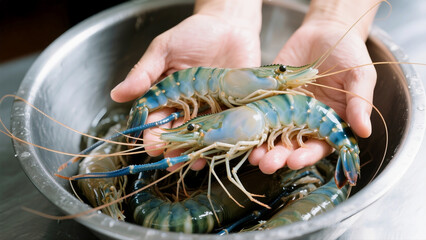 The photo shows freshly caught prawns being presented in both hands. A bowl beneath holds additional prawns, symbolizing seafood preparation and culinary freshness.