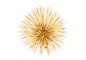 A bright golden yellow firework burst with radiating lines, isolated on a transparent background