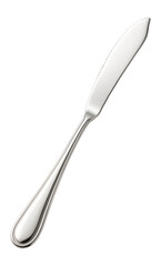 Fototapeta premium Polished silver fish knife with serrated edge