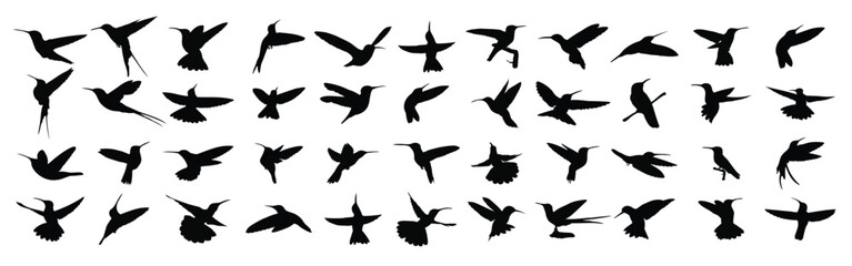 Set of item honey bird silhouette