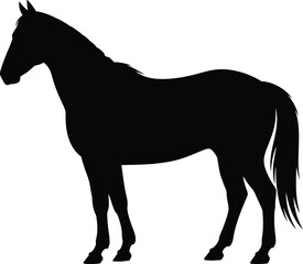 Black horse silhouette animal equine