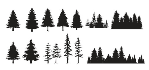 Set of fir trees silhouette forest view pine trees 