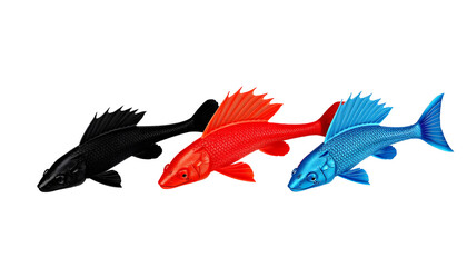 Fototapeta premium Three Colorful Koi Fish Floating Across Transparent Backdrop