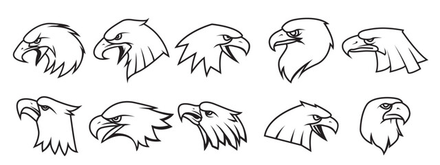 Vector Eagle Scout Eagle Scout