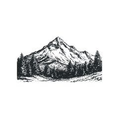 Detailed sketch of a majestic snow-capped mountain peak surrounded by evergreen trees
