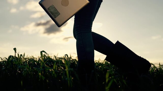 Walking in field with laptop and boot through tall grass at sunset showing silhouette of person carrying device for remote work and nature connection while walking across green field under sunlight
