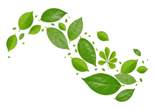 A swirling pattern of fresh green leaves isolated on a transparent background, symbolizing growth and nature